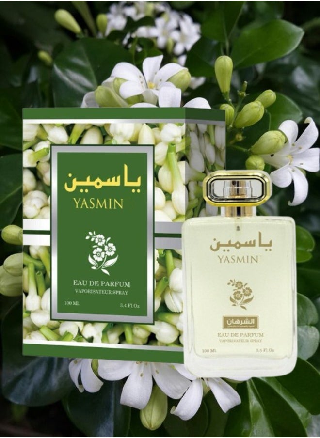 12 Pieces Yasmin Perfume 100ML - pzsku/ZFF16162DD6E21A04B052Z/45/_/1731003264/98d4a01b-c376-4e88-bbb3-4b44f6f41514