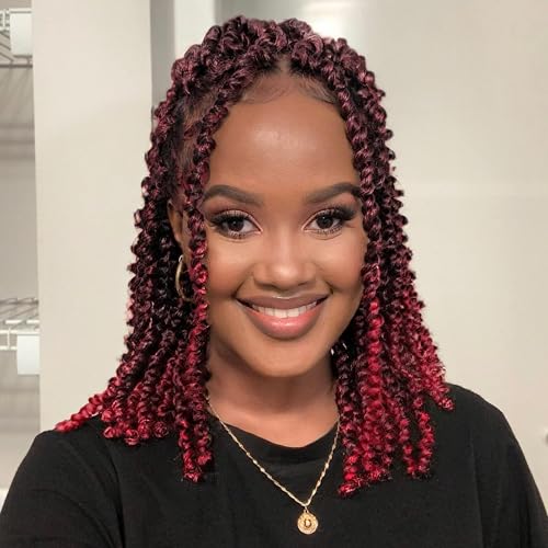 Miss Sula 10 Inches 8 Packs Passion Twist Hair-Ombre Burgundy Pre-twisted Passion Twists,Pre-Looped Crochet Hair Spring twist Hair Extensions(10 Inch(Pack of 8), TBUG) - Image 1