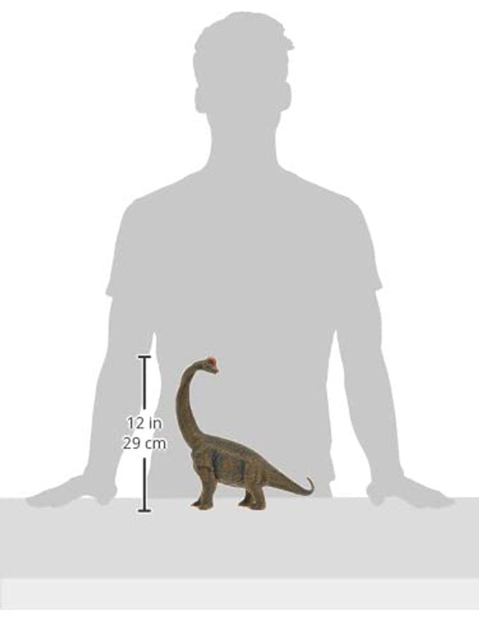 CollectA Prehistoric Life Brachiosaurus Deluxe 1:40 Scale Dinosaur Figure Authentic Hand Painted Model - Image 3