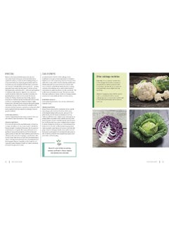 The Vegan Kitchen: Over 100 Essential Ingredients for Your Plant-Based Diet  - Image 1