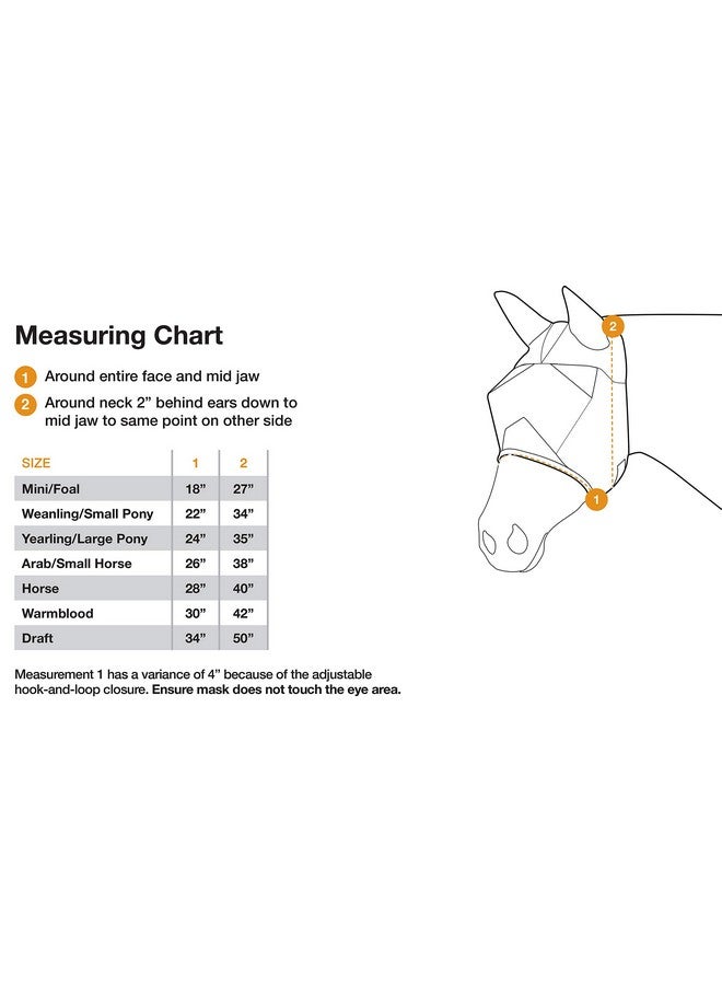 كاشيل قناع كاشيل كروسيدر فلاي، قياسي (أزرق، سنة واحدة) - Image 3