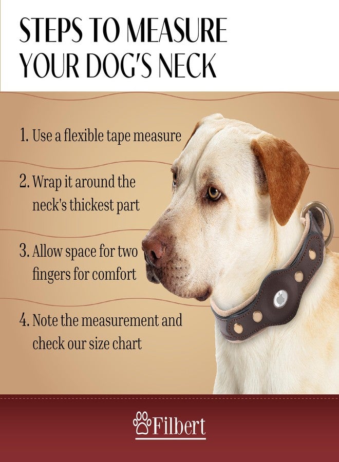 Filbert Leather Dog Collar with Airtag Holder, Upgraded Secure Airtag Collar, for Large Dogs, Leather, Waterproof, Premium, Adjustable - Image 4