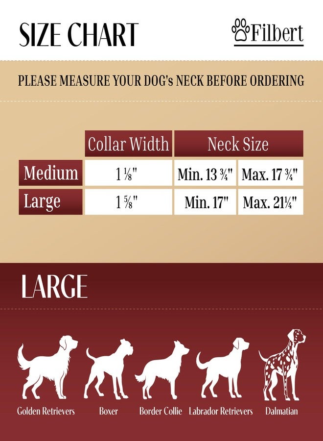 Filbert Leather Dog Collar with Airtag Holder, Upgraded Secure Airtag Collar, for Large Dogs, Leather, Waterproof, Premium, Adjustable - Image 2