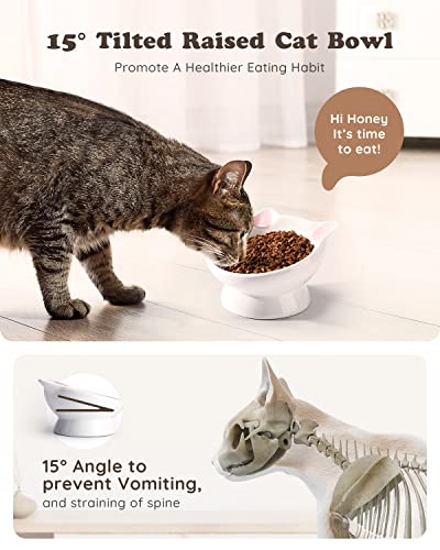 AISBUGUR Raised Cat Food Bowl Ceramic 15° Tilted Cat Food Bowls Protect Cat's Spine Anti Vomiting Backflow Prevention Bowls for Adult Kitty, Kitten, and Small Dogs, Pink - Image 3