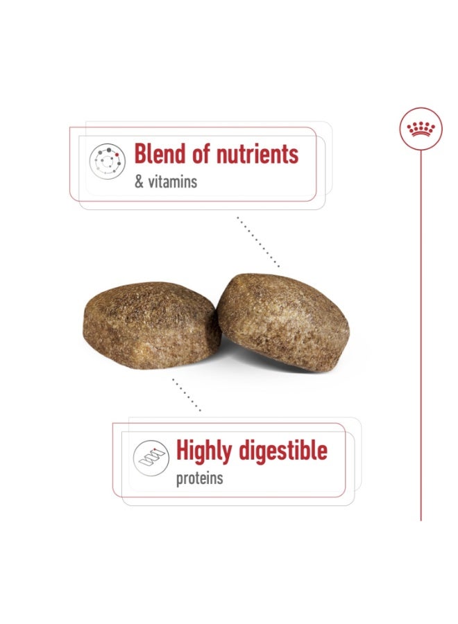 رويال كانين حجم التغذية الصحية العملاق للبالغين 15 كجم - Image 3