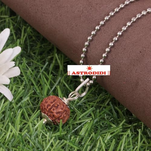 ASTRODIDI 8 Mukhi Rudraksha/Eight Face Rudraksh Pendant Small Size Java Bead With White Metal Capping and Chain for Men and Women - Image 3