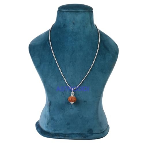 ASTRODIDI 8 Mukhi Rudraksha/Eight Face Rudraksh Pendant Small Size Java Bead With White Metal Capping and Chain for Men and Women - Image 4