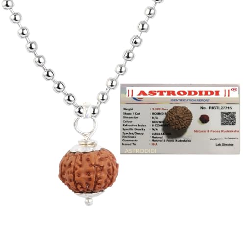 ASTRODIDI 8 Mukhi Rudraksha/Eight Face Rudraksh Pendant Small Size Java Bead With White Metal Capping and Chain for Men and Women - Image 1