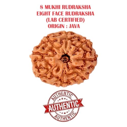 ASTRODIDI 8 Mukhi Rudraksha/Eight Face Rudraksh Pendant Small Size Java Bead With White Metal Capping and Chain for Men and Women - Image 2