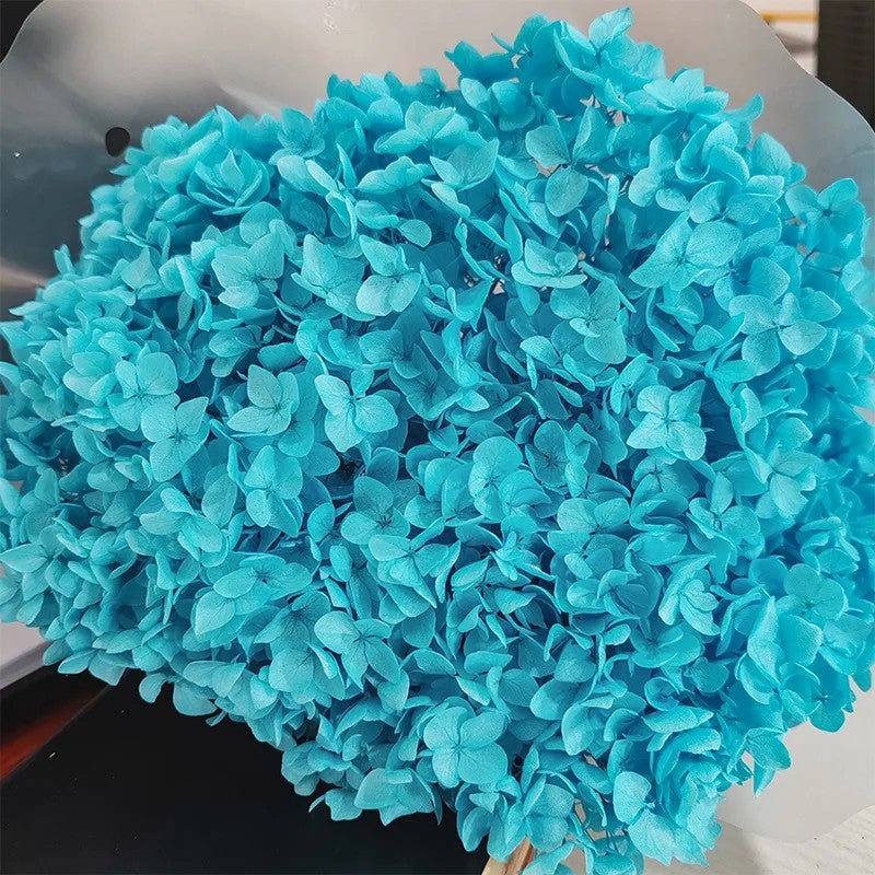 Bluejw Real Touch Dried Flowers Bouquet with Preserved Hydrangea – Natural Dried Plants for Wedding & Home Decoration - Image 1