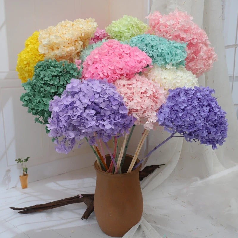 Bluejw Real Touch Dried Flowers Bouquet with Preserved Hydrangea – Natural Dried Plants for Wedding & Home Decoration - Image 3