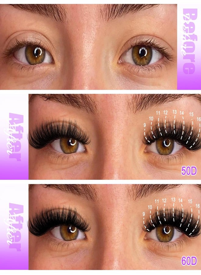 CMAYOME Lash Clusters Kit, 30D 40D 50D 60D Lash Extension Kit with Lash Bond and Seal, 640Pcs Eyelash Clusters with Lash Tweezers, Lash Remover and Eyelash Brush - Image 3