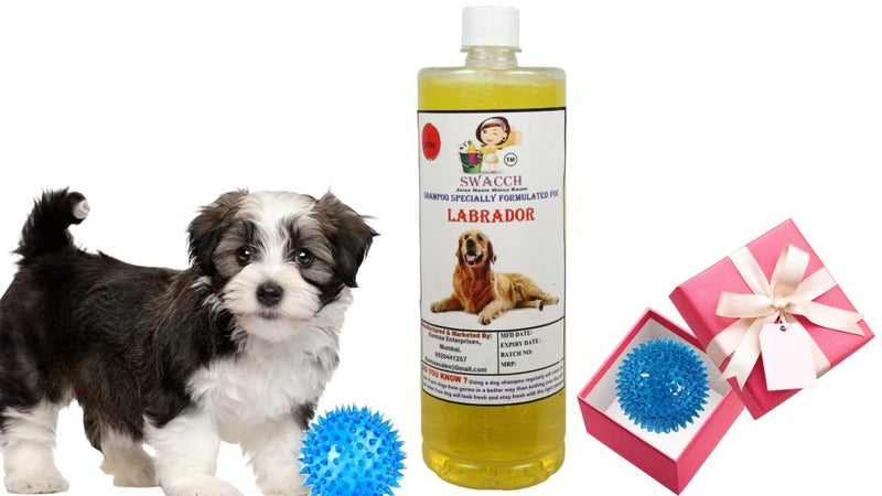 swacch Shampoo | Puppy Safe Shampoo | PH Balanced | Ditch to Itch for Labrador Dog Shampoo 1 Litre (Lemon) + Spike Ball Chew Toy Combo Pack - Image 1