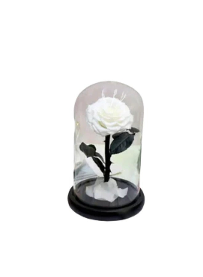 Petals by Aemi Ramadan Forever White Infinity Rose 
