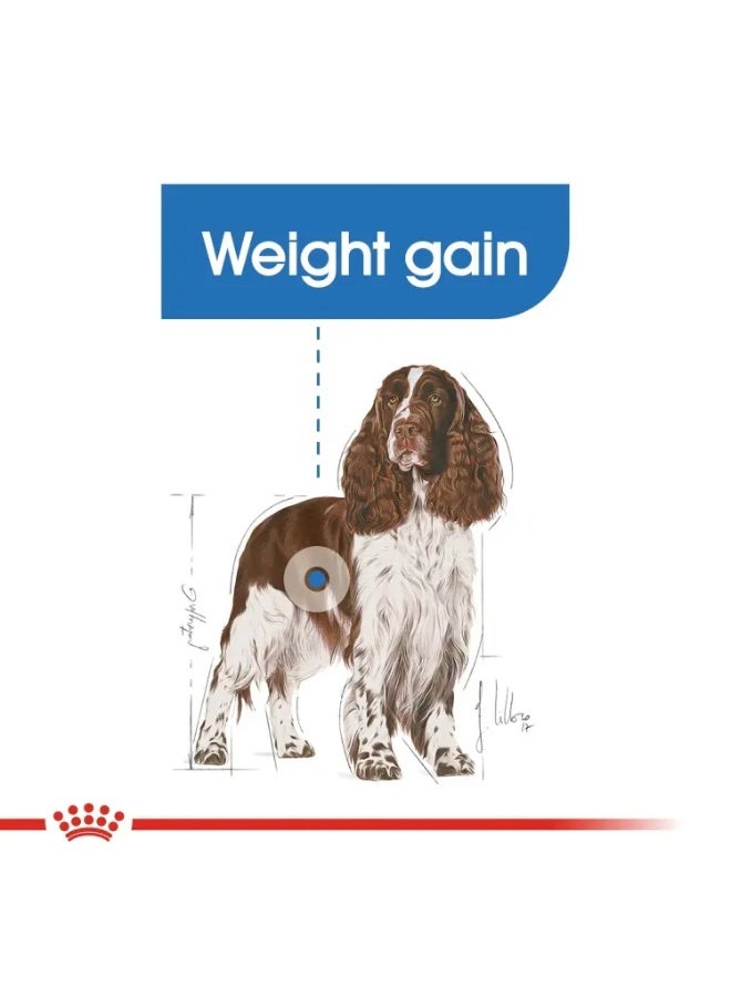 Royal Canin Canine Care Nutrition Medium Light Weight Care Dry Food Bag 3kg - Image 5