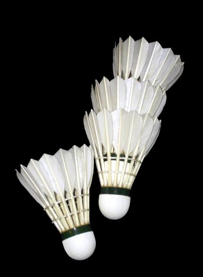 PlantaZee Plastic Badminton Shuttlecocks for Indoor Outdoor Badminton Sports - Color White - Speed Medium 30 - Image 3