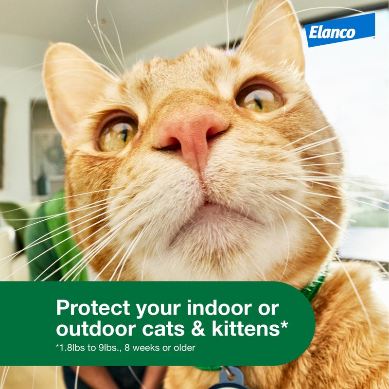 Advantage XD Small Cat Flea Prevention & Treatment For Cats 1.8-9lbs. | 1-Topical Dose, 2-Months of Protection Per Dose - Image 3