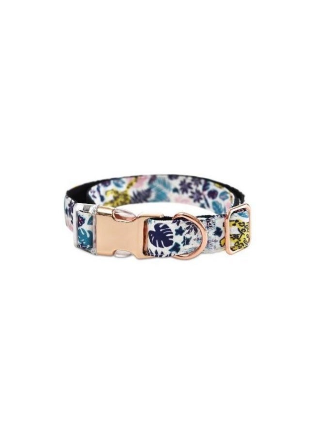 Naomi dog collar
