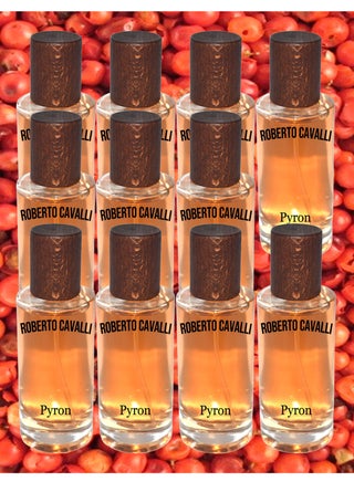 11 Pieces Roberto Cavalli Perfume 50 ml EDP - pzsku/ZFF25379B0E437EC903DDZ/45/_/1685998727/c50d7f14-5304-4ab5-b932-7c0ede75bb0c