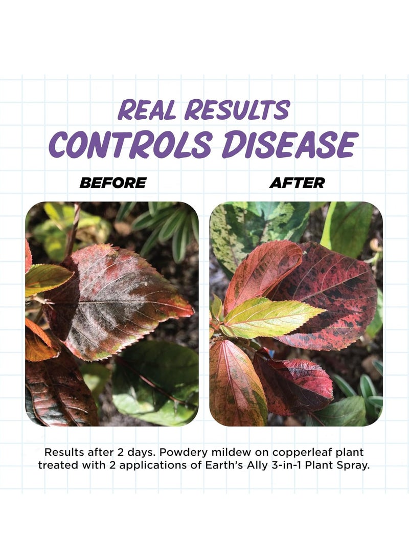 Earth's Ally بخاخ نباتات Earth's Ally 3 في 1 سعة 24 أونصة جاهز للاستخدام | أفضل من زيت النيم | مبيد حشري ومبيد فطريات ومكافحة سوس العنكبوت للزراعة العضوية، طارد للآفات للنباتات المنزلية الداخلية والحدائق الخارجية - Image 5