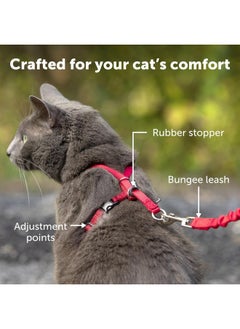 PetSafe PetSafe Come with Me Kitty Harness and Bungee Leash, Medium, Red  - Image 5