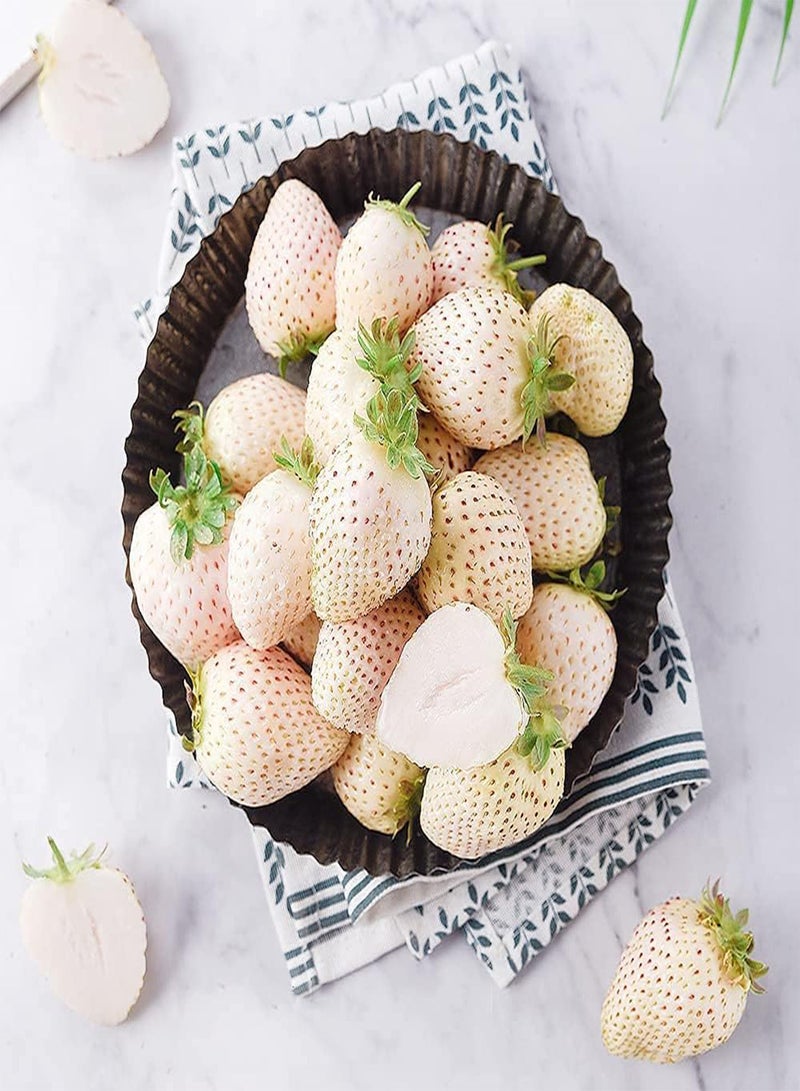 GGOOT 100pcs White Special Variety Strawberry Seeds High Nutritional Value Family Essential Fruit Suitable Novices to Planted in Courtyard - Image 1