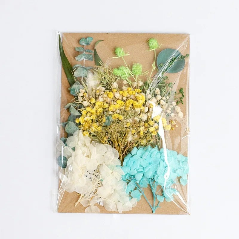 Bluejw Diy Preserved Hydrangea & Gypsophila Dried Flower Kit – Embossed Dried Plants in Decorative Bag for Home, Wedding & Craft Decoration - Image 3