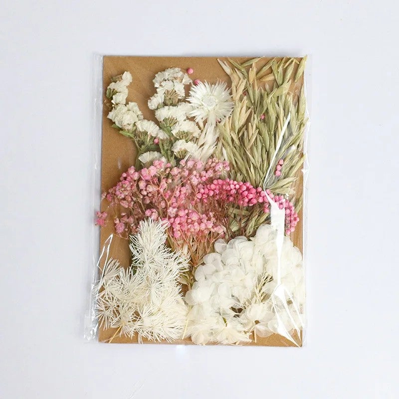 Bluejw Diy Preserved Hydrangea & Gypsophila Dried Flower Kit – Embossed Dried Plants in Decorative Bag for Home, Wedding & Craft Decoration - Image 5