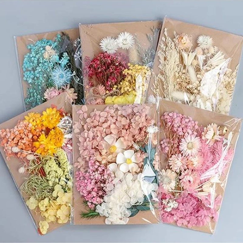 Bluejw Diy Preserved Hydrangea & Gypsophila Dried Flower Kit – Embossed Dried Plants in Decorative Bag for Home, Wedding & Craft Decoration - Image 2