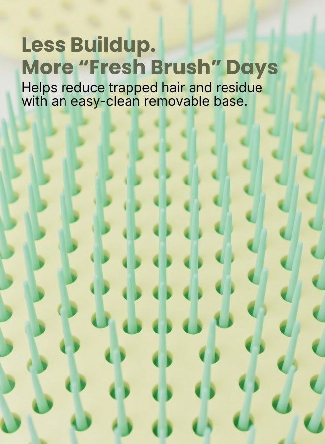Glitters Detangling Hair Brush for Women and Girls – Anti-Static Paddle Brush with Scalp Massage Bristles for Wet & Dry Hair, Frizz-Free Smooth Styling Hairbrush - Image 5