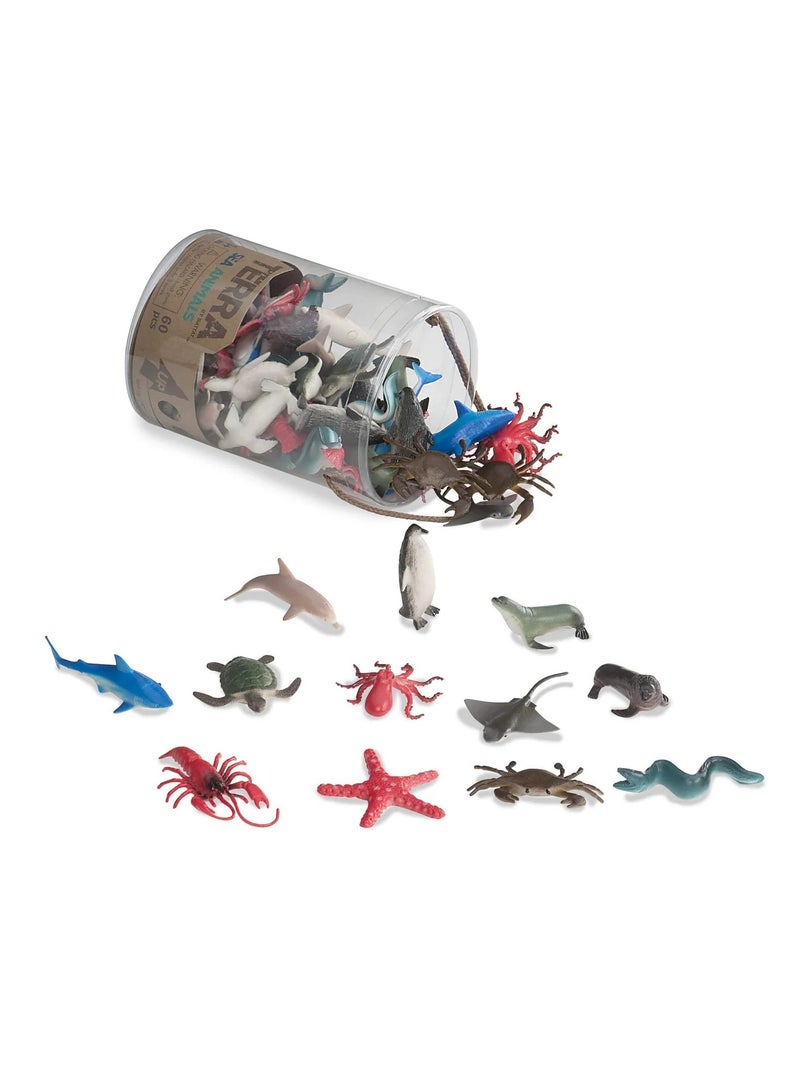 تيرا حيوانات البحر في الأنبوب