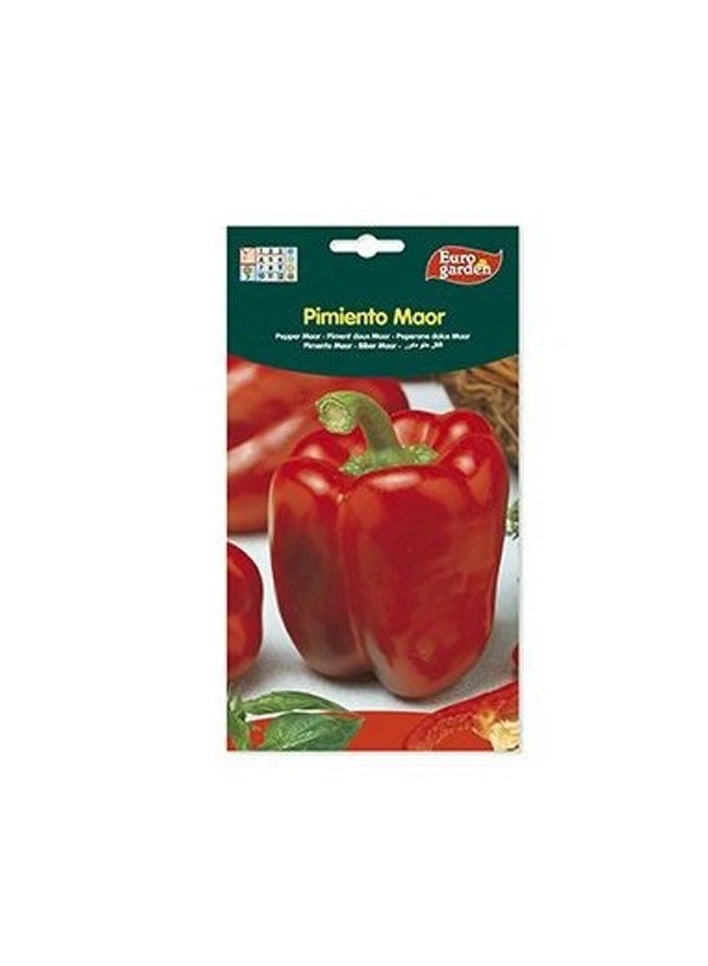 KNP EG Pepper Maor Seeds 