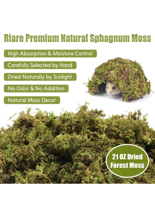Riare 25QT Natural Hamster Moss Bedding Nesting-Soft Forest Moss Hamster Habitat Reptile Moss for Dwarf Syrian Hamsters, Mices, Gerbils, Reptiles, Small Pets (1.3LBS) - Image 2