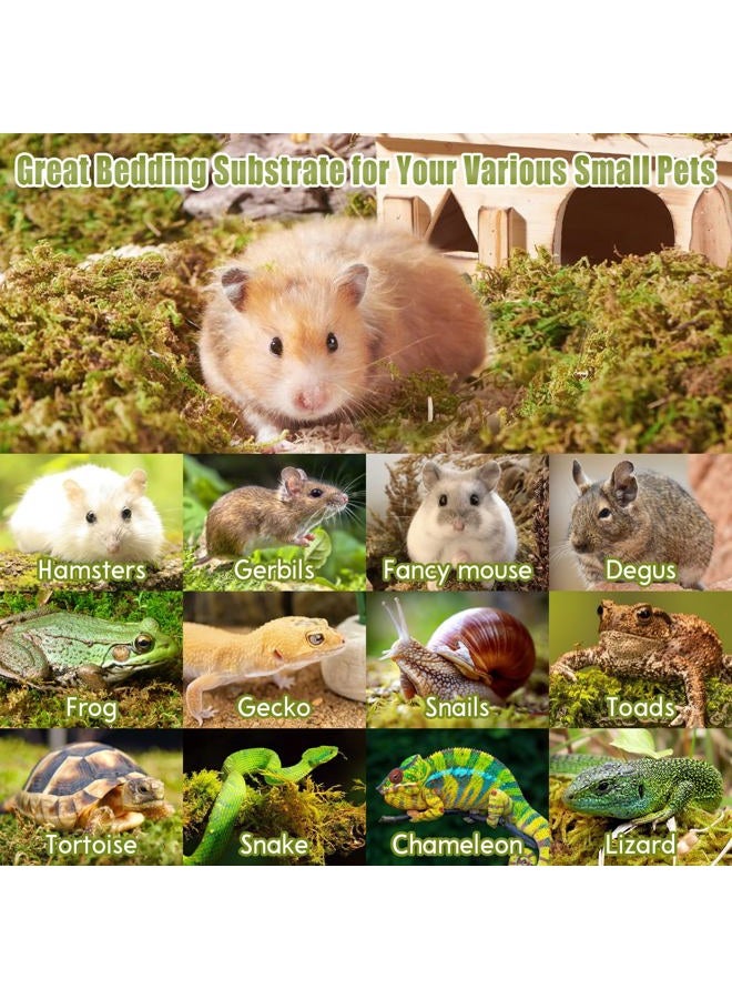 Riare 25QT Natural Hamster Moss Bedding Nesting-Soft Forest Moss Hamster Habitat Reptile Moss for Dwarf Syrian Hamsters, Mices, Gerbils, Reptiles, Small Pets (1.3LBS) - Image 4