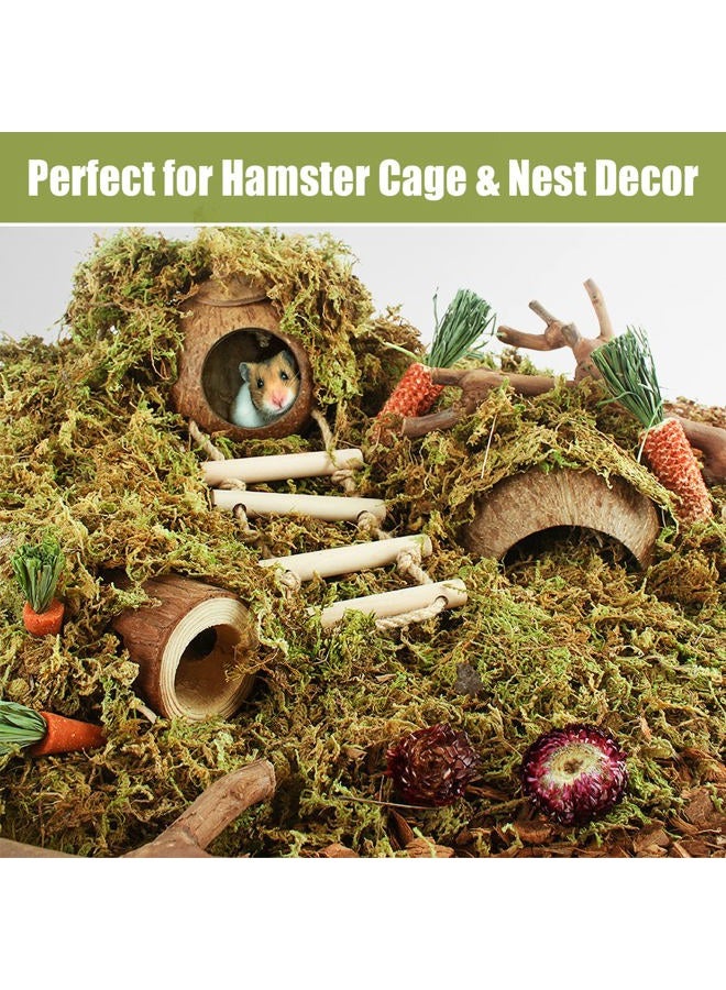 Riare 25QT Natural Hamster Moss Bedding Nesting-Soft Forest Moss Hamster Habitat Reptile Moss for Dwarf Syrian Hamsters, Mices, Gerbils, Reptiles, Small Pets (1.3LBS) - Image 3