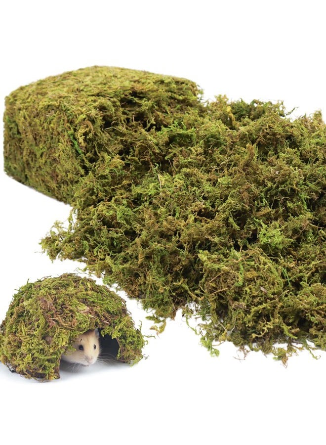 Riare 25QT Natural Hamster Moss Bedding Nesting-Soft Forest Moss Hamster Habitat Reptile Moss for Dwarf Syrian Hamsters, Mices, Gerbils, Reptiles, Small Pets (1.3LBS) - Image 1