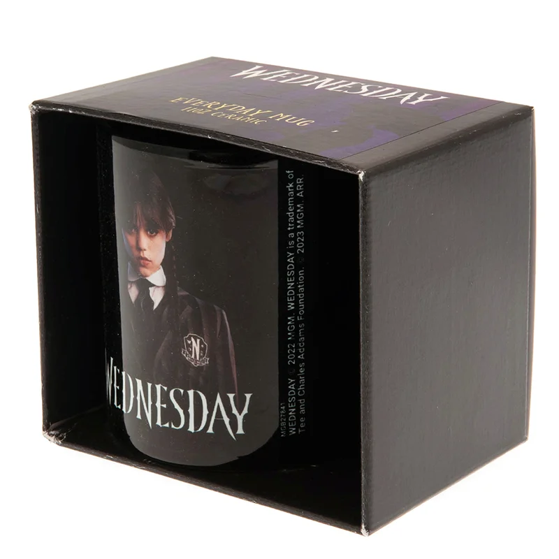 Pyramid Wednesday Mug - Friendship (315mL) Black