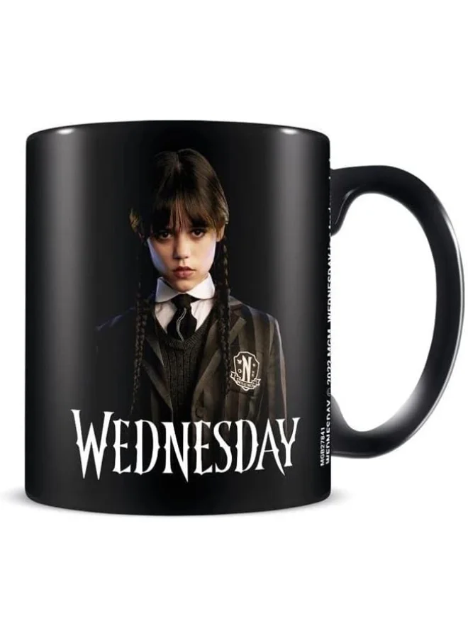 Pyramid Wednesday Mug - Friendship (315mL) Black