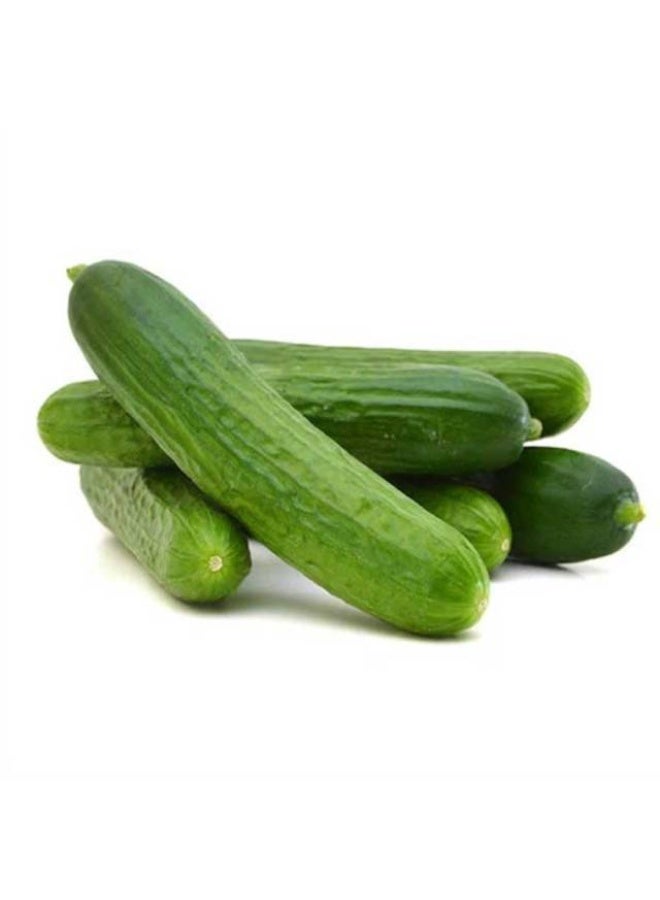 Cucumbers 500g - 5 to 8 Pieces