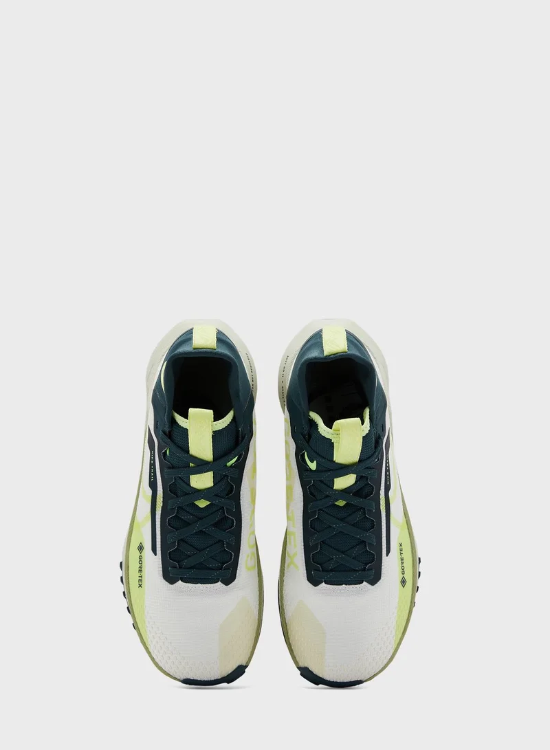 Nike Pegasus Trail 4 Gore-Tex