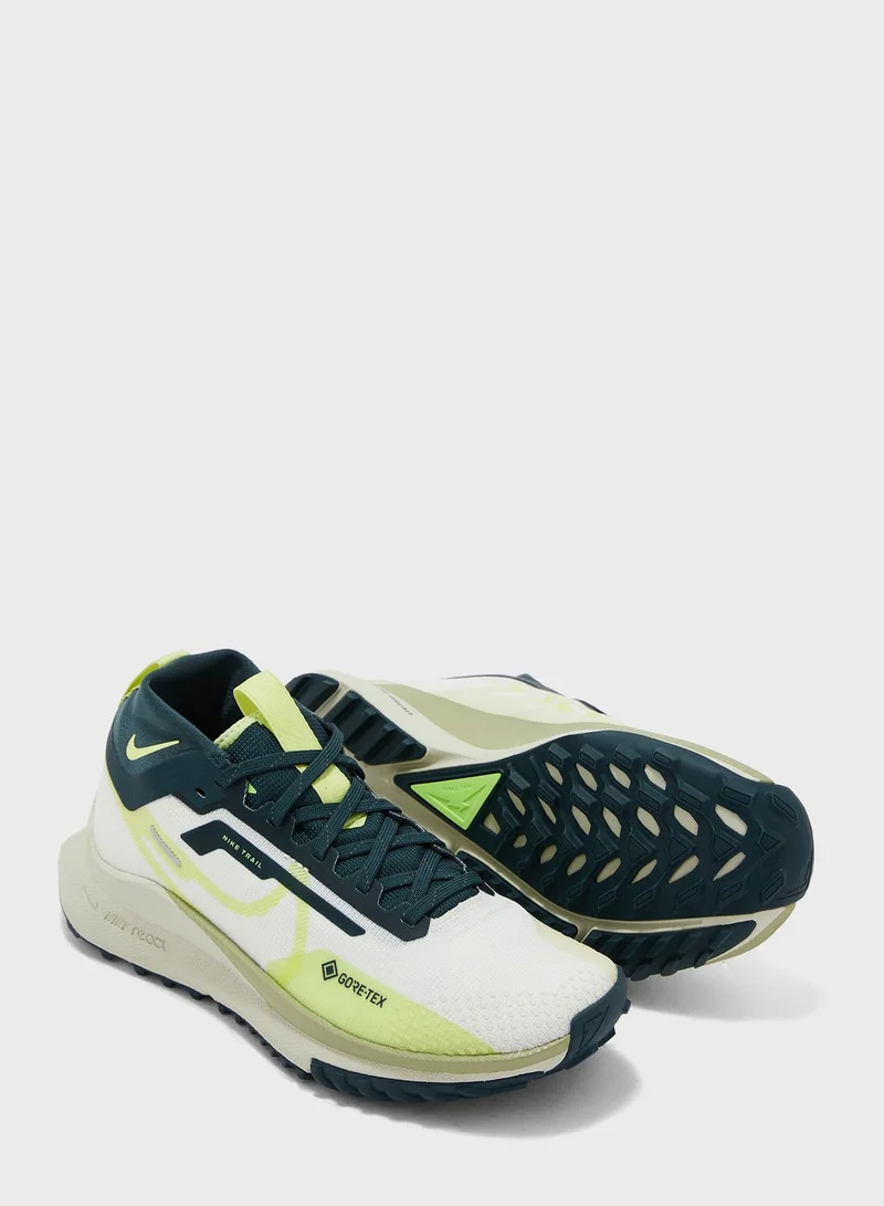 Nike Pegasus Trail 4 Gore-Tex