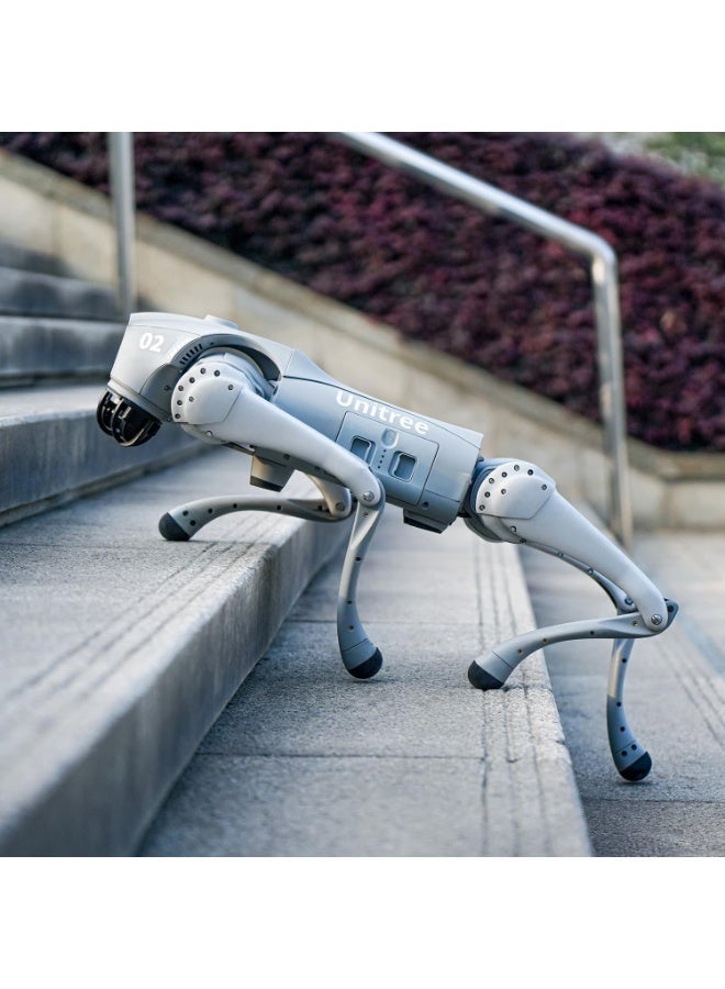 Unitree Go2 Pro Smart Quadruped Robot Dog with Controller – AI-Powered Robotic Dog, App Control, 4D LiDAR Obstacle Avoidance, HD Camera, 2-Hour Battery, Embodied AI Robot for Adults - Image 3