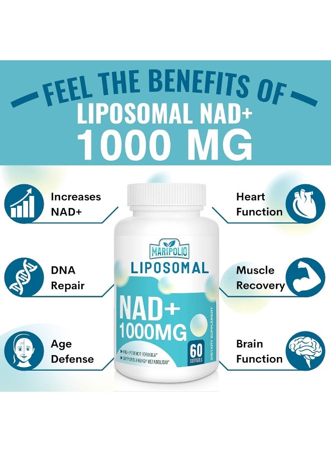 ليبوسومال NAD+ 1000 مجم، 60 كبسولة - Image 3
