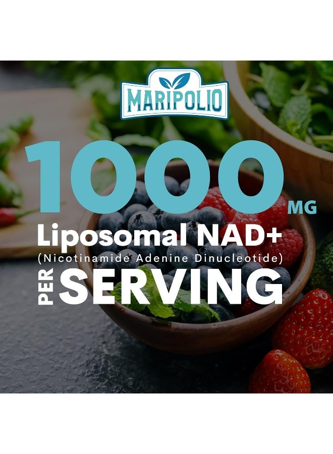 ليبوسومال NAD+ 1000 مجم، 60 كبسولة - Image 5