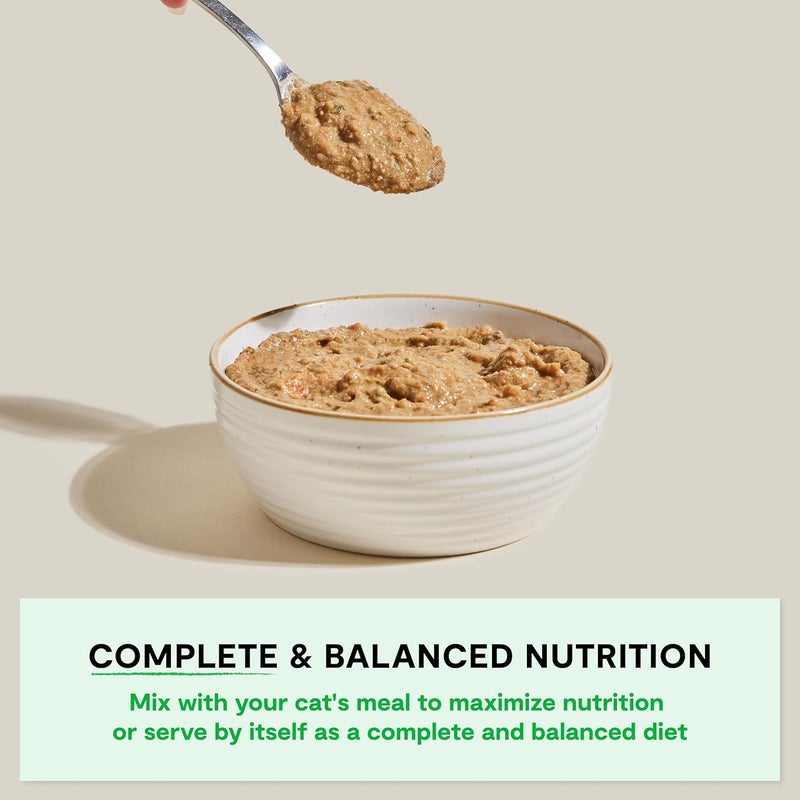 Open Farm طعام قطط رطب من تركيبة الديك الرومي الريفية من Open Farm Homestead - 12 عبوة (155 جرام لكل منها) - Image 2