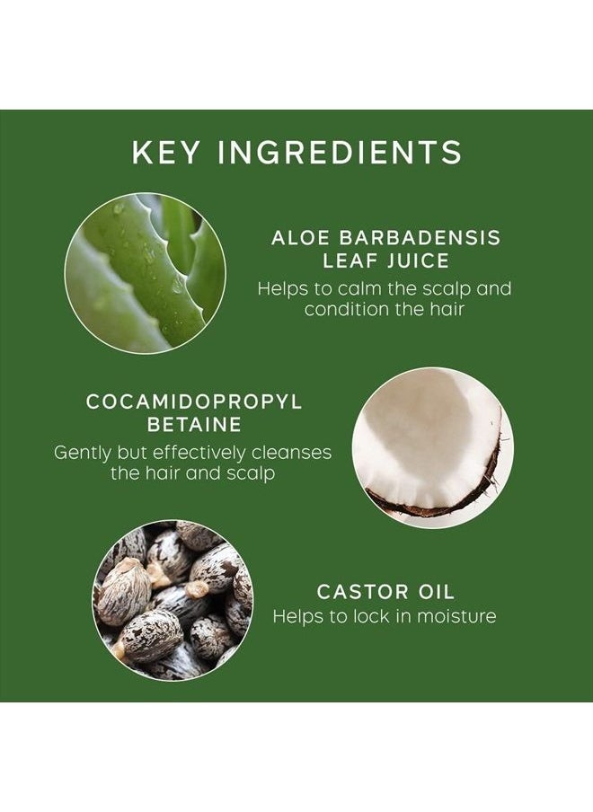 Philip Kingsley - Flaky Scalp Shampoo for Flaky Dry, Oily Scalps Cleansing Scalp Care Hair Products Soothing, Soothes and Calms, 8.45 oz. - Image 1