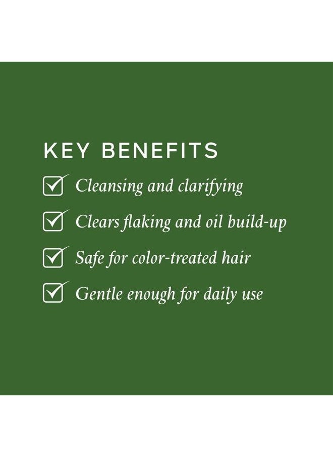 Philip Kingsley - Flaky Scalp Shampoo for Flaky Dry, Oily Scalps Cleansing Scalp Care Hair Products Soothing, Soothes and Calms, 8.45 oz. - Image 1