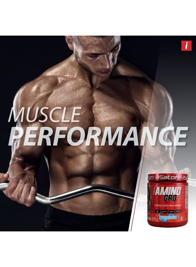 iSatori Amino-GRO BCAA Powder - Branched Chain Amino Acid Formula with Glutamine and Bio-GRO Bio-Active Peptides - Essential Amino Energy for Women and Men - Blue Razz Snow Cone (30 Servings) - Image 3