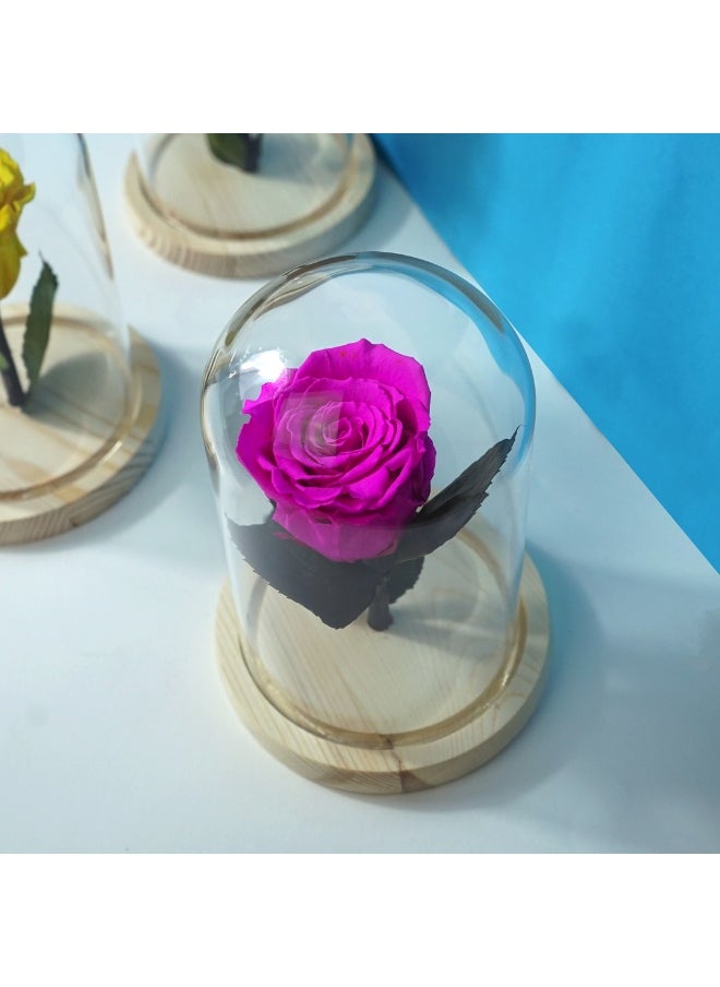 Presentail - Purple Eternal Rose - Image 1
