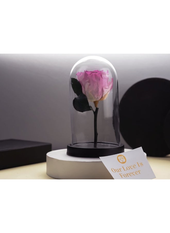 Presentail - Purple Eternal Rose - Image 1